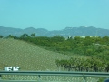 Neu angelegte Plantagen sind östlich von Malaga oft zu sehen.