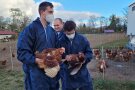 Zwei Personen halten Hühner