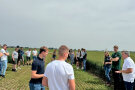 Personen auf einem Feld