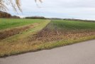 Schotterebene und Moor bilden die Quellflußregion der Paar wieder.