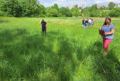 Vereinzelt stehende Personen auf Wiese