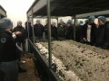 Personen stehen um Fläche mit Champignons