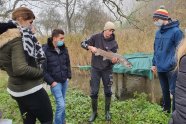 Dieser Huchen wird in der Fischzucht Sandau als Laichfisch genutzt