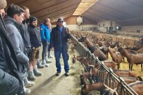 Im Ziegenstall der Fam. Gebauer
