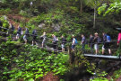 Aufstieg durch die Schleifmühlenklamm