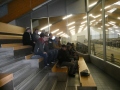 Personen auf Besuchertribüne der Besamungsstation Greifenberg