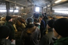 Studierende und Betriebsleiter im Stall