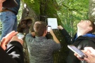 Lösen von Aufgaben an der Tassilolinde
