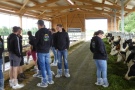 Studierende im Kuhstall