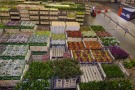Reichhaltiges Angebot mit hoher Qualität